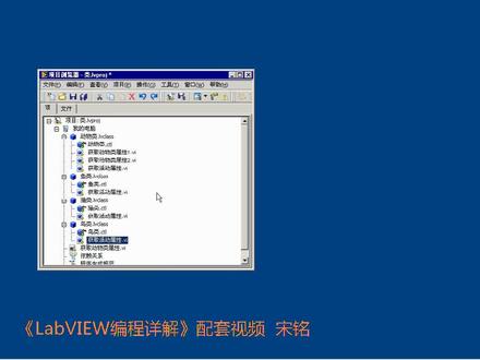 《LabVIEW编程详解》 宋铭 第13章 面向对象的编程13 #LabVIEW编程