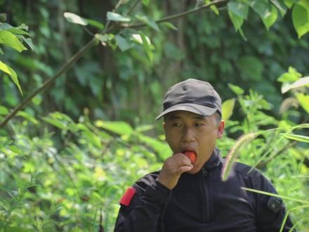 关于楮桃能吃这件事情,你试过几分? #科普一下 #原创视频 #自然教育 #构树果