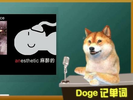 【Doge每日一词-0131】aesthetic 美,美感 (托福雅思核心词汇)教育部大力支持医美专业进大学