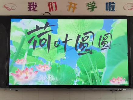 公开课倒计时4天!求求帮帮指教还有哪里可以修改😭一下语文《荷叶圆圆》公开课#一下语文 #一年级下册 #公开课 #课件ppt #荷叶圆圆公开课