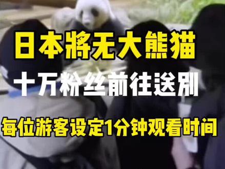 旅日大熊猫即将回国,10万日本粉丝哭着送别大熊猫,排队四小时只能看1分钟😂😂😂#大熊猫 #情感寄托