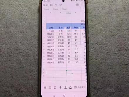 手机电子表格锁定单元格保护函数公式 #办公软件 #excel #表格 #手机WPS表格 #经验分享