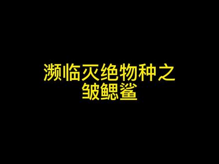 濒临灭绝物种之皱鳃鲨#科普 #海洋生物 #探索世界 #每日推文