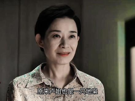 原来卢姐也是一只枭#枭起青壤