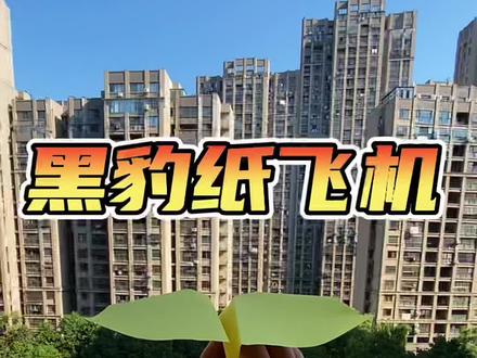 黑豹纸飞机~#纸飞机 #折纸教程
