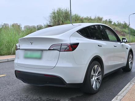 特斯拉Model Y露营体验到底怎么样,我买了哪些露营装备? #特斯拉modely #露营装备 #新能源汽车