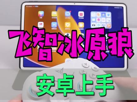 安卓冰原狼手柄如何连接使用?本期手柄哥带来安卓冰原狼两种链接方法,注意:背键也可以设置。 #飞智冰原狼 #我的世界手柄