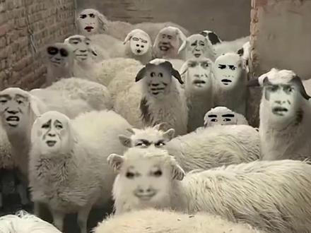 现代通假字要是没学会,都不知道怎么跟人聊天了! #通假字 #梗 #聊天 #搞笑 #抽象