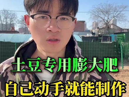 土豆专用膨大肥,自己动手就能制作! #土豆 #土豆种植 #洋芋 #三农 #土豆高产种植