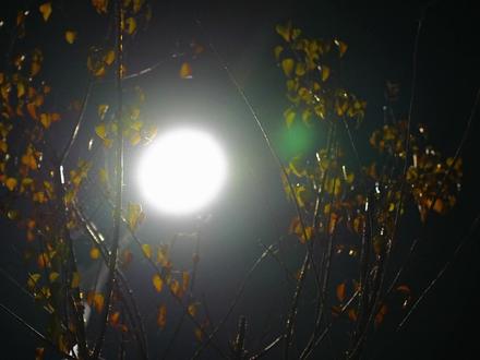 酒驾不是个人冒险,而是对公共安全的漠视,每一次酒后驾车,都是在向无辜者挥起利刃,更是将自己推向法律与生命的双重深渊(摄制:道吉才旦)#酒驾 #危险 #驾车