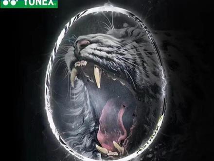 谁说的99pro跟100zz比差远了 你给我站出来#尤尼克斯 #天斧100zz #天斧