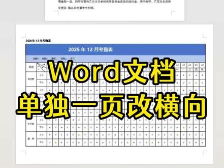 Word 文档单独一页设置为横向 轻松搞定竖向的纸张改横向#word #办公技巧 #office办公技巧 #word办公技巧 #电脑知识