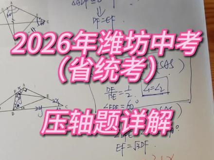 2026年潍坊市中考数学试卷#省统考#中考真题#压轴题#数学真题答案#一题多解