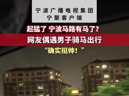 【原创采访】起猛了 宁波马路有马了?网友偶遇男子骑马出行 “确实挺帅!”#骑马#没想到吧我也没想到 (来源:@咸鱼的干 编辑:鸽鸽)