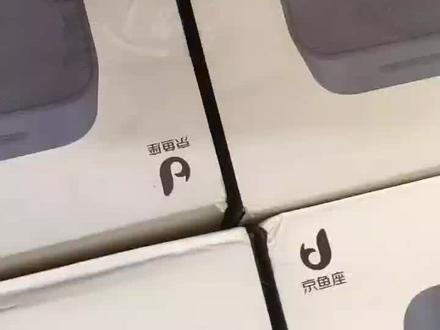 京鱼座AI智能音箱P6