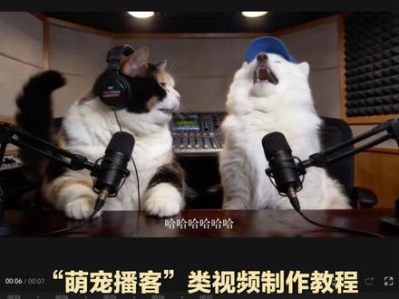 “宠物播客”类视频制作教程 #小云雀AI #照片会对话 #吐槽 #播客 #剪辑教程