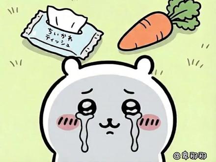 萝卜纸巾挑战,吉伊成功! 感觉宝宝的CPU都要烧干了😶🌫️下一期想看谁挑战呢
#chiikawa #吉伊 #小八 #乌萨奇 #萝卜纸巾猫咪