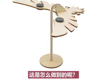 给我一个支点,我就能飞起来!平衡鹰真相原来是......#科学实验 #暑假