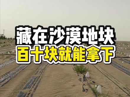 沙漠荒地租金才百十块,这样的地块你愿意承包耕种吗?#三农 #三农流量扶持计划 #防沙治沙 #治沙人 #沙漠绿洲