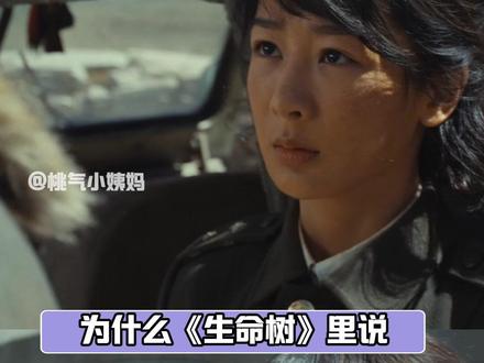 为什么说博拉木拉是捧着金饭碗要饭吃?#杨紫 #胡歌 #李光洁 #生命树 #生命树杨紫守护高原绝境