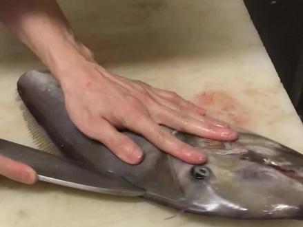 剥皮牛,放血,起肉#刺身#抖音热门