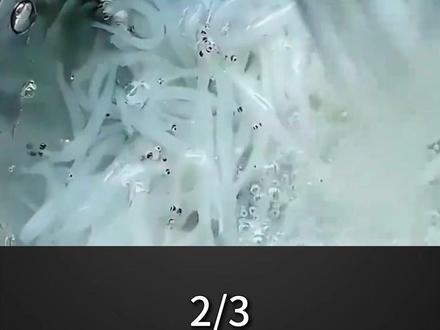 太湖的“致富经”银鱼,曾造福21个省,为何如今被判“死刑”?#科普 #涨知识 #银鱼