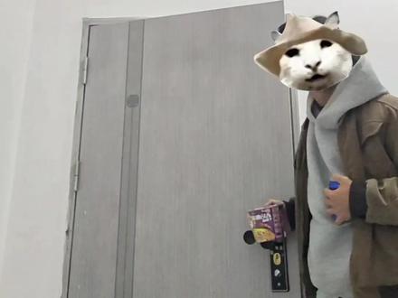 你们都在玩梗 只有我真的没经济没建模#干嘛猫 #没经济没建模猫