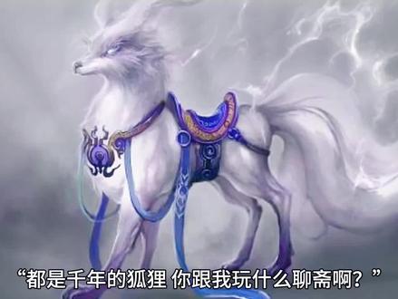 都是千年的孤狸,跟我聊什么聊斋。