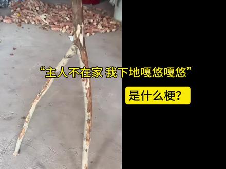 主人不在家,我下地嘎悠嘎悠是什么梗?#抽象 #梗