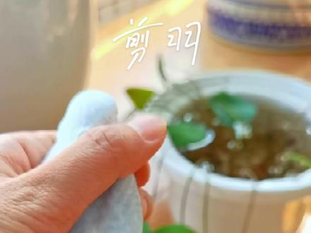 我的剪羽方法分享#手养鹦鹉 #虎皮鹦鹉