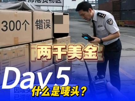 别再瞎写外箱标识了!30 秒搞懂唛头的正确打开方式 #出口外贸 #什么是唛头 #国际物流 #海运
