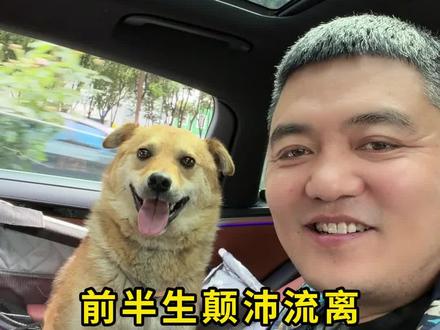 小满胜万全 前半生颠沛流离,后半生小满无忧,谢谢全网朋友的牵挂!咱们小黄正式定名:小满!寓意:小满胜万全,一家人圆圆满满。#带着爸妈去旅行 #跨国寻狗 #人与狗的感人故事 #小满#流浪狗救助