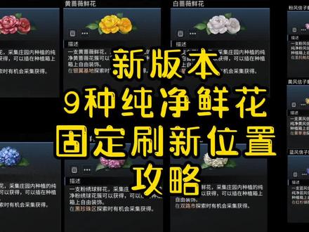 新版本9种纯净鲜花固定刷新位置攻略#明日之后
