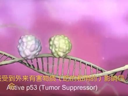 (精美模拟)癌细胞形成全过程——从一个癌细胞发展为癌症!