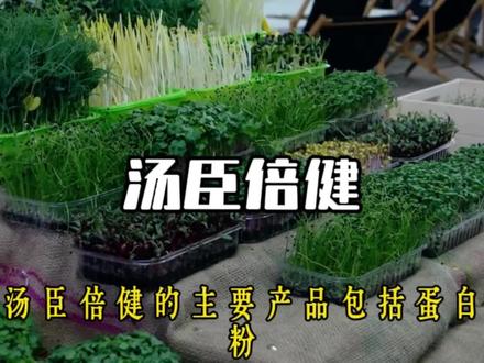 一天一家公司,汤臣倍健的前世今生 #财经知识 #板块分析 #行业分析 #汤臣倍健