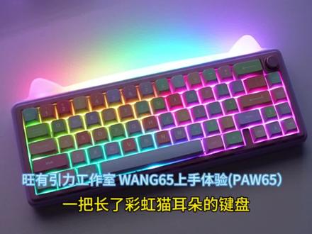 一把长了猫耳朵的键盘!旺有引力工作室,Wang65上手体验。外观可爱,铝合金外壳、支持三模连接,结构做的也是比较不错的#客制化键盘 #机械键盘 #适合女生的键盘推荐