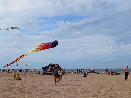 一套动作行云流水 #半兽人 #炫酷 #毛茸茸 #面具