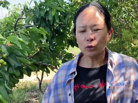 刷到很多网友买的山东烟台樱桃都说不值那个钱,不好,我想跟大家说下原因!好吃的陆地樱桃还没熟,不光要花对钱,还要找对人!小徐,也是为我妈卖一些,她车技太差了,半夜去批发市场卖樱桃我不放心,所以尝试看看能不能卖出去!#樱桃 #用抖音记生活 #创作者中心 #创作灵感