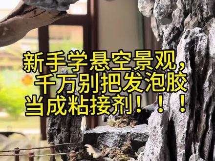 学造景,新手必看。发泡胶的主要作用不是粘接,是填缝堵漏。#水陆缸造景 #新手造景#造景教程#鱼缸造景#花卉绿植热门
