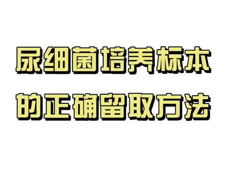 尿细菌培养标本的正确留取方法👆