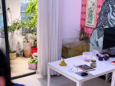 马克来到地球上的第13786天 #画画