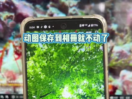 动图保存到相册就不动了 抖音动图怎么保存到相册 实况动图 live实况动图#动图保存到相册就不动了 #抖音动图怎么保存到相册#实况动图 #live实况动图 #干货分享