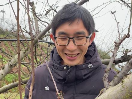 背上枝转换成轮生结果枝——李树轮生枝转换技术 #轮生枝转换技术 #李树修剪 #三农 #果树修剪 从探索到观察 到总结成技术,到后来原理的反推。这次说我自创该行了吧,你们可不要有来个以前就有,早就有了这样的话。为什么网上没有能广泛传播呢。是有的人发现了但是没有提炼,有的人可能在用 但是不知道原理。我觉得不管怎么样 只要是好技术,能够解决农业生产中遇到的重要问题,就应该被推广,被更多人知道,让更多人受益。毕竟你也不会在意谁发明的 ,也只关心你自己有没有受益是不是?