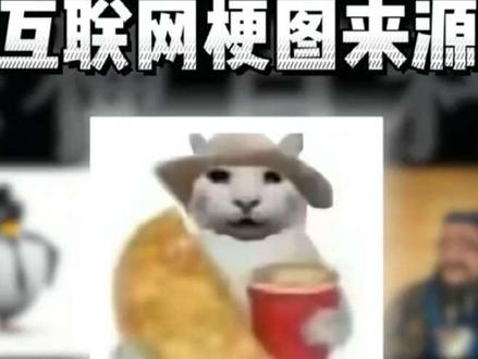 无建模无经济猫来源#搞笑 #哈基米 #梗百科 #表情包