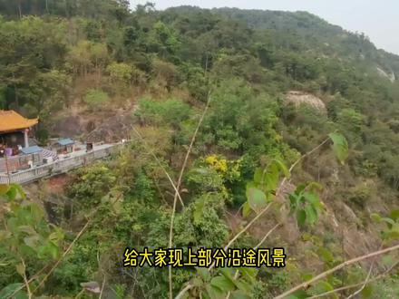 今天带大家解锁一条花都芙蓉嶂的野生登山线路,对于比较初级的我们是一个不错的选择。#芙蓉嶂 #打卡