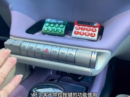 超详细的比亚迪海豚中控按键解说来啦 !新手车主必看 ! #比亚迪海豚 #比亚迪 #新能源汽车 #每天一个用车知识 #比亚迪海豚🐬