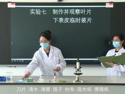西藏初中生物实验操作(七): 制作并观察叶片下表 标准操作步骤:1. 检查实验用品(菠菜叶片、载玻片、盖玻片、显微镜等)是否齐全完好;2. 制作临时装片:擦净载盖玻片,滴加清水;用镊子撕取菠菜叶片下表皮,展平在清水中;用镊子夹起盖玻片,一侧先接触水滴,缓慢放下;3. 将装片放在显微镜下,观察清晰的表皮细胞、保卫细胞和气孔(示意老师检查);4. 画出叶片下表皮结构简图,标注结构名称;5. 整理器材,归位摆放。
