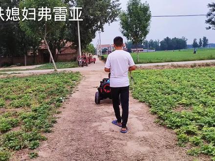 带巴铁媳妇去认庄稼,在巴基斯坦见都没见过:中国人真厉害!#巴铁媳妇 #中巴夫妻 #跨国婚姻 #我的乡村生活