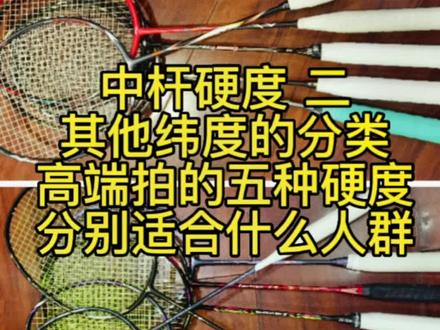 中杆硬度二,其他纬度的分类。#羽毛球拍
