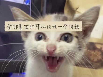 全部看完的可以问我一个问题 #plog